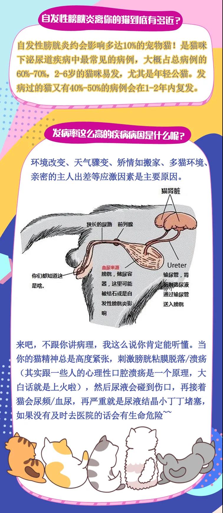 微信图片_20201026130921.jpg