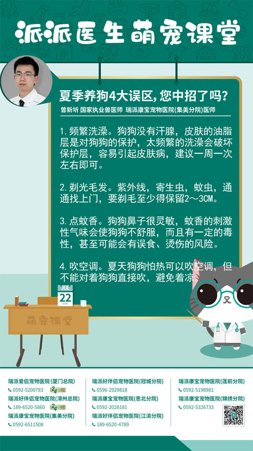 200722夏季养狗4大误区，您中招了吗？.jpg