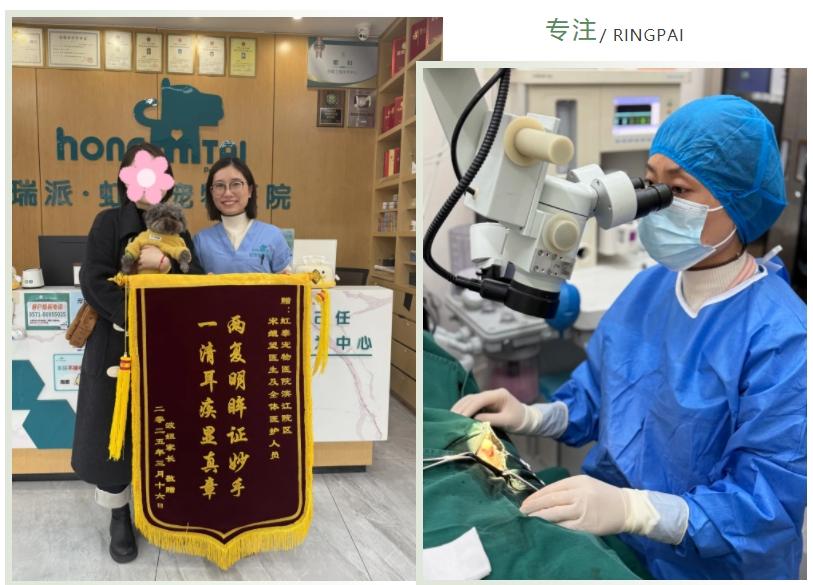 微信截图_20250320153248(1).jpg